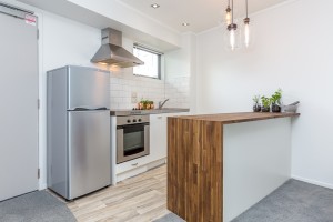 Apartment Kitchen Renovations